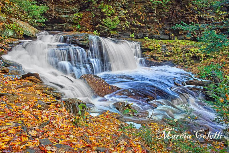 CAYUGA-WATERFALL_0624.jpg