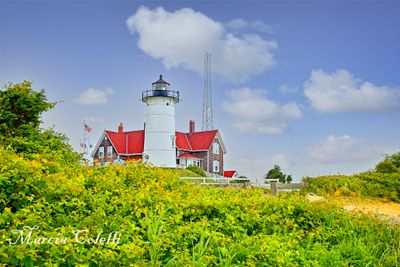 NOBSKA LIGHTHOUSE_4718.jpg