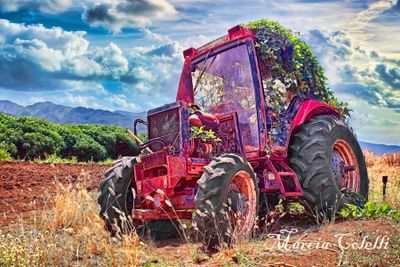 ABANDONED TRACTOR_9730.jpg