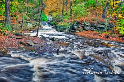 WYANDOT WATERFALL_0748.jpg