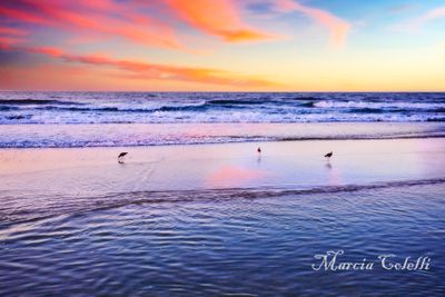 VIRGINIA, GEORGIA, NORTH AND SOUTH CAROLINA BEACHES