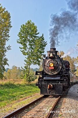Ohio Central #1293 steam-engine-0739.jpg