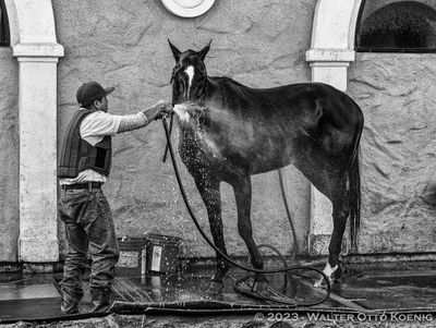 Morning Bath