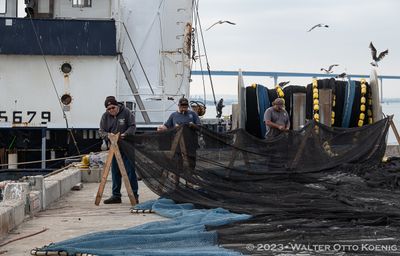 Mending the Nets