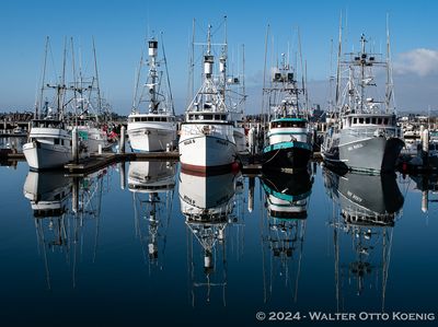 Commercial Fishing