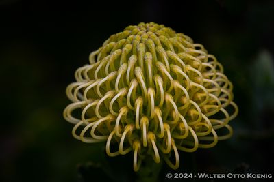 g13/19/637819/3/174578174.d9c058d0.JPEG