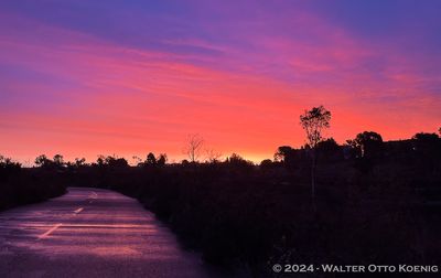 Sunrise after Rain