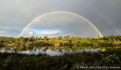 After morning rain 