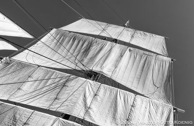 Aloft on the Main Mast