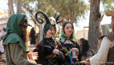 Renaissance Faire 24