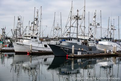 Commercial Fishing