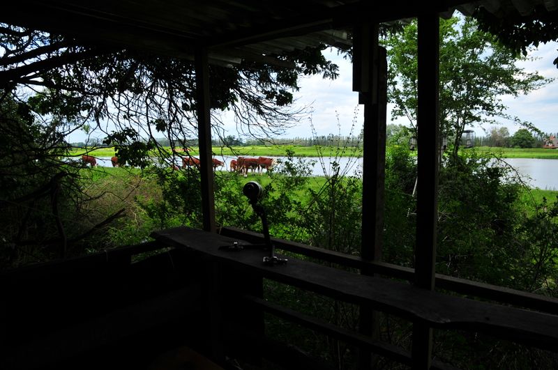 NGJ_9509.JPG