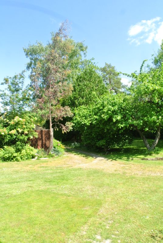 DSC_2697.JPG