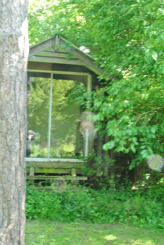 DSC_2700.JPG
