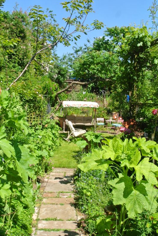 DSC_2709.JPG