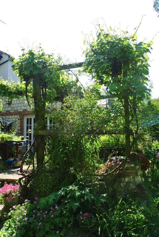 DSC_2712.JPG