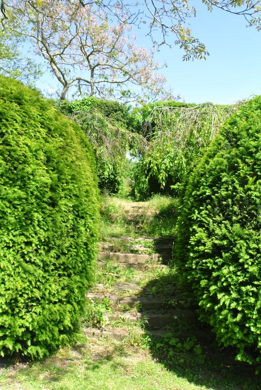DSC_2717.JPG