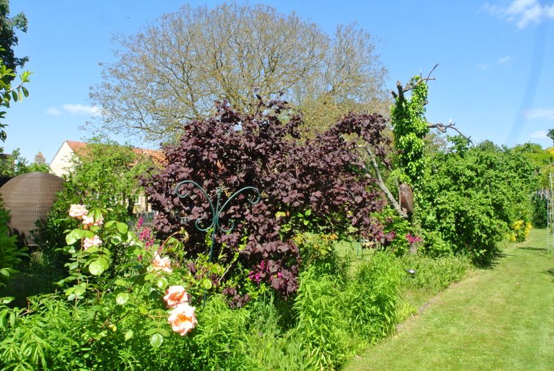 DSC_2723.JPG