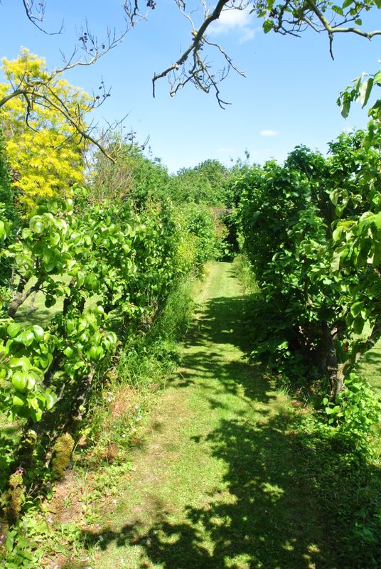 DSC_2728.JPG