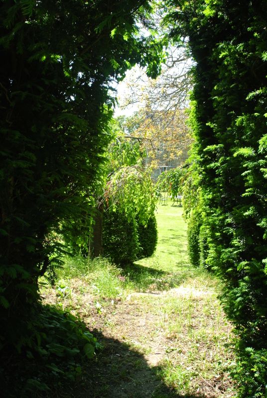 DSC_2729.JPG