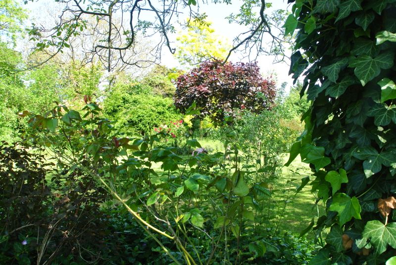 DSC_2731.JPG