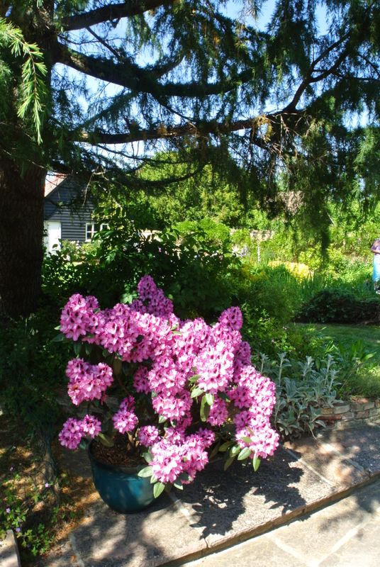 DSC_2745.JPG