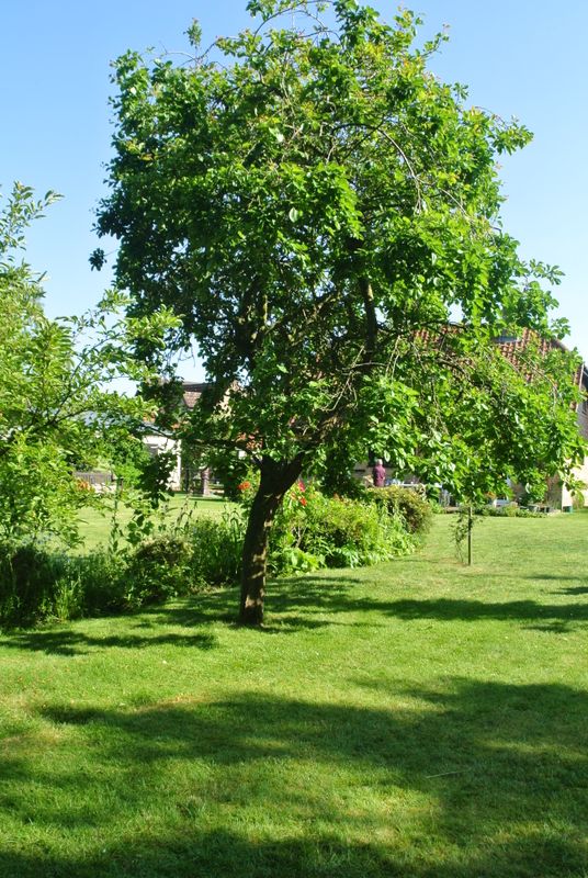DSC_2830.JPG