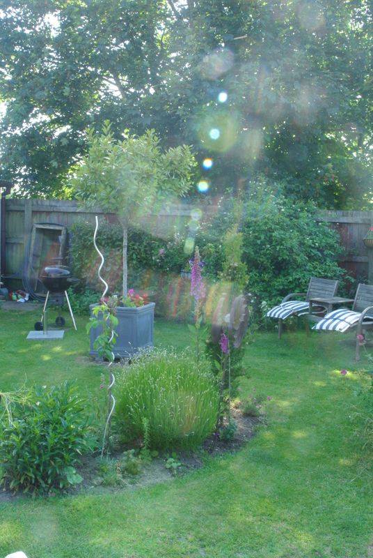 DSC_2782.JPG