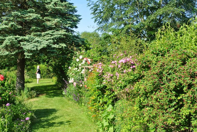 DSC_2832.JPG