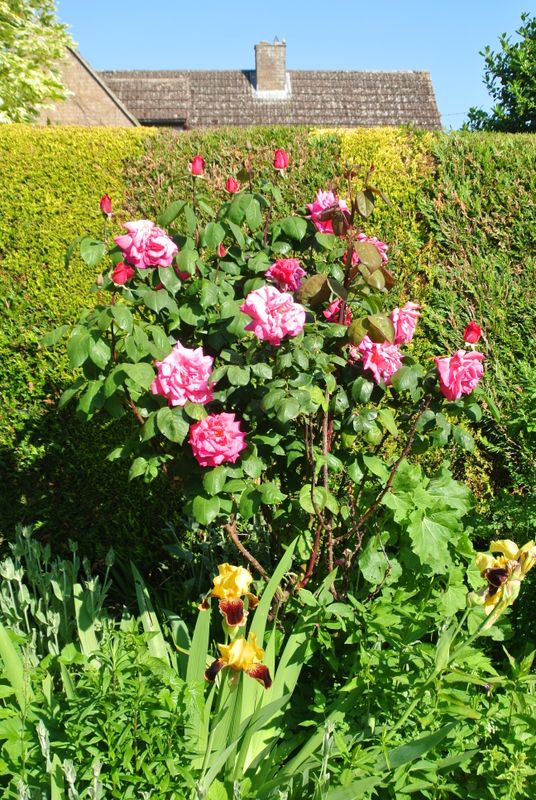 DSC_2834.JPG