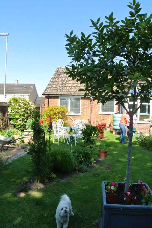 DSC_2785.JPG
