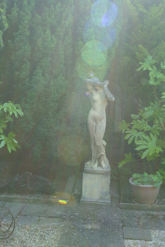 DSC_2837.JPG