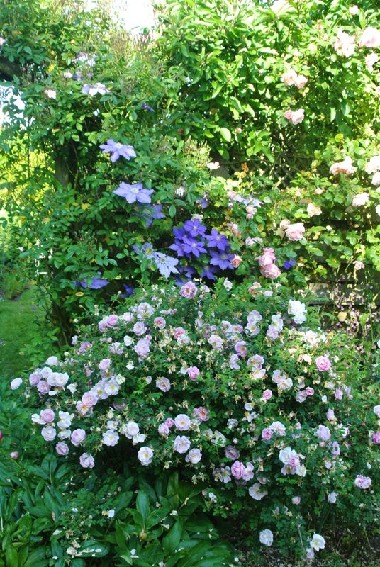 DSC_2857.JPG