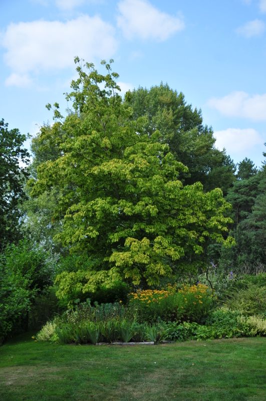 AKW_2742.JPG