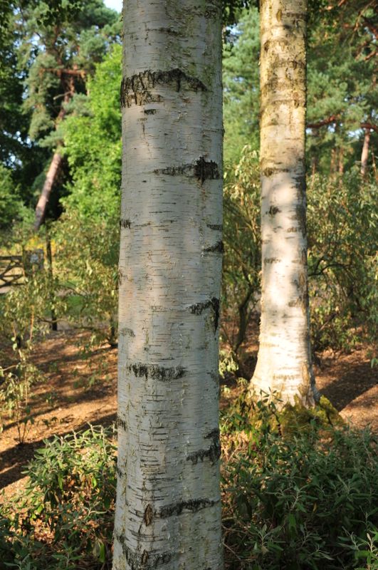 AKW_2865.JPG