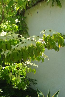 g13/19/65119/3/174788353.a56ce8e8.JPEG