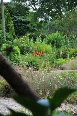 Fuller's Mill Gardens in Suffolk August 18, 2024