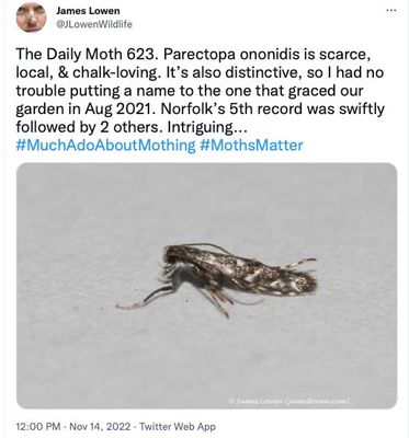623.jpg