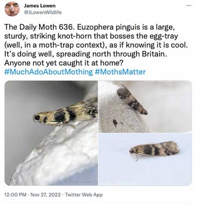 g13/19/725119/3/173195070.7cd3f6d0.JPEG