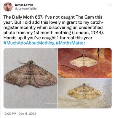 657.jpg