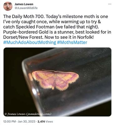 The Daily Moth 700-749
