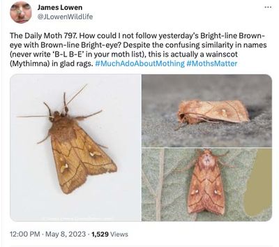 797.jpg