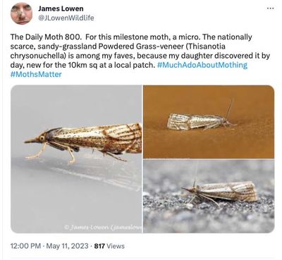 The Daily Moth 800-849