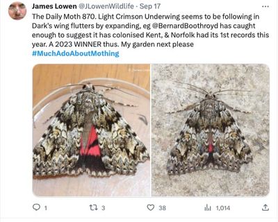 g13/19/725119/3/174102956.dac631b5.JPEG