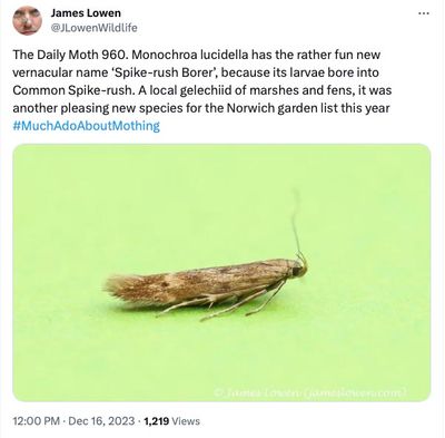 g13/19/725119/3/174302897.f4f8e28d.JPEG