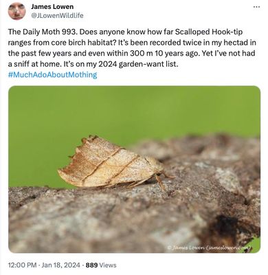 g13/19/725119/3/174302929.d846b356.JPEG