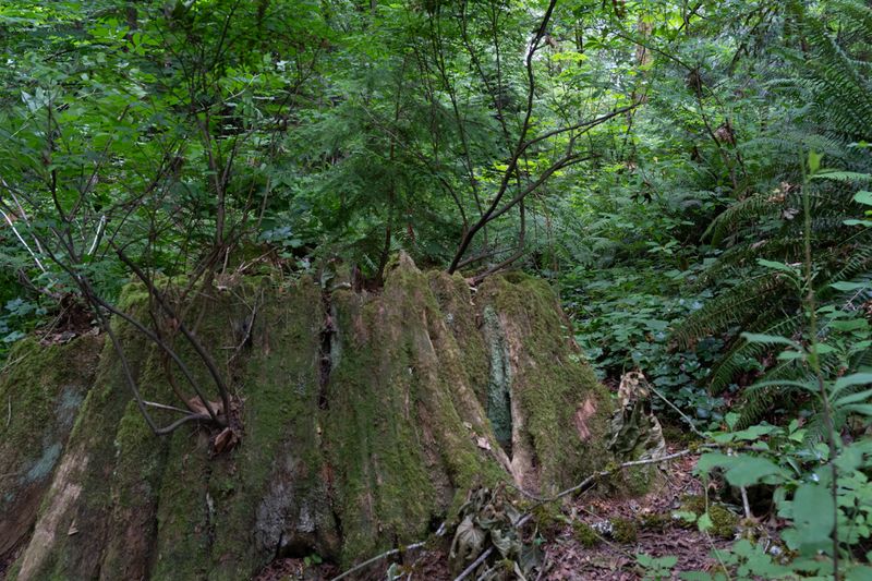 DSC_5519.jpg