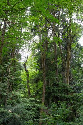 Kingfisher Natural Area