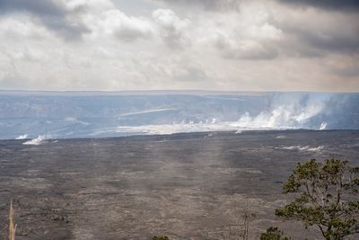 _DSC5515.JPG