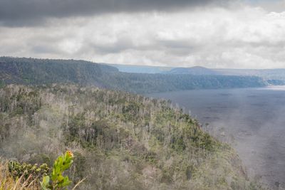 _DSC5522.JPG